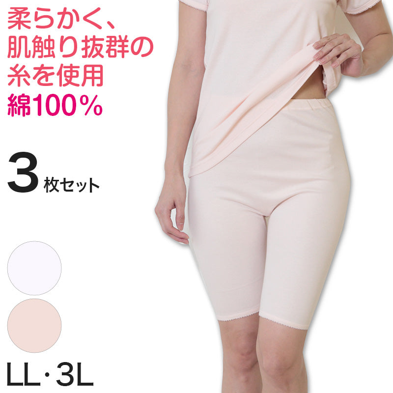 デミアン 綿100% コーマ糸使用 5分長ズロース 3枚セット LL・3L (レディース 婦人 インナー 下着 綿 コットン 吸湿 日本製 大きいサイズ ズボン下 5分丈 ズロース) (婦人肌着) (在庫限り)
