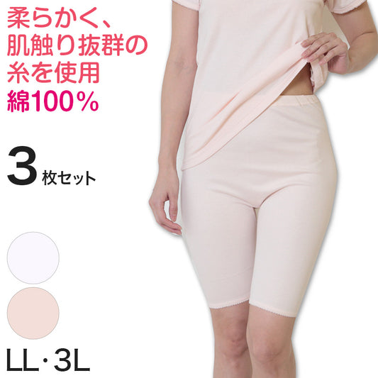 デミアン 綿100% コーマ糸使用 5分長ズロース 3枚セット LL・3L (レディース 婦人 インナー 下着 綿 コットン 吸湿 日本製 大きいサイズ ズボン下 5分丈 ズロース) (婦人肌着) (在庫限り)
