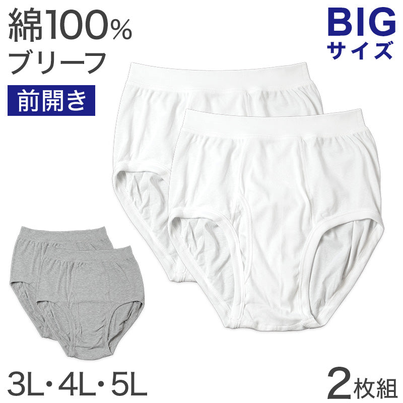ブリーフ 綿100% 大きいサイズ 2枚組 3L 4L 5L 前あき メンズ 下着 コットン ゆったり 白 グレー 3l 4l 5l 肌着 ビッグサイズ ブリーフ パンツ 白 灰色 グレー