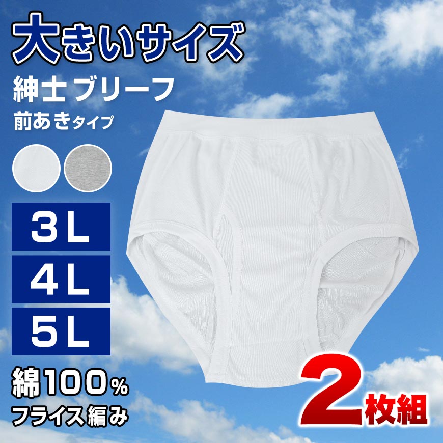 ブリーフ 綿100% 大きいサイズ 2枚組 3L 4L 5L 前あき メンズ 下着 コットン ゆったり 白 グレー 3l 4l 5l 肌着 ビッグサイズ ブリーフ パンツ 白 灰色 グレー