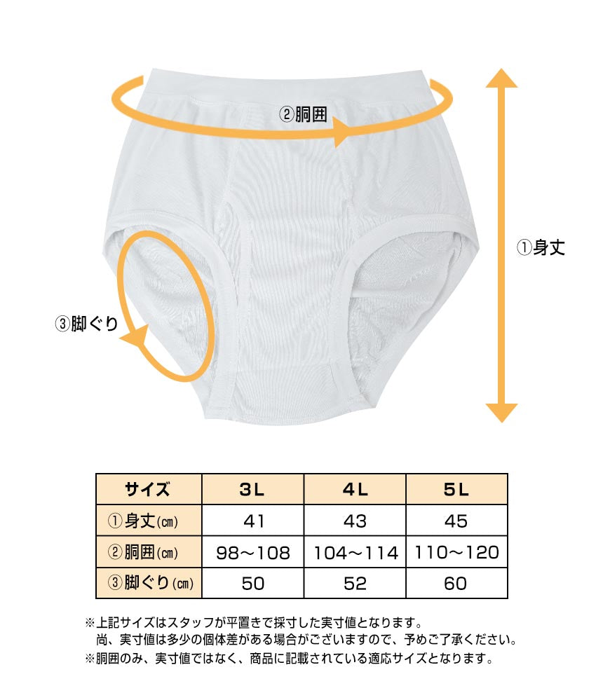 フライスBIGブリーフ 2枚組×5セット 3L~5L (メンズ インナー コットン100% BIGサイズ)