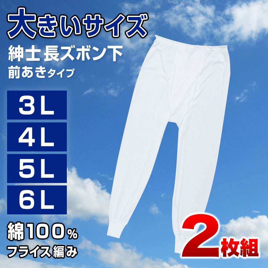 ズボン下 綿100% 大きいサイズ 2枚組 3L 4L 5L 6L メンズ 肌着 下着 ステテコ インナー コットン ビッグサイズ アンダーパンツ 前開き 下着 男性 白 無地 3l 4l 5l 6l