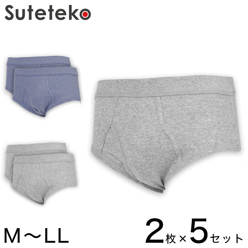 抗菌防臭加工 フライス天スパンブリーフ 2枚組×5セット M~LL (綿100% メンズ 男性 紳士 下着 肌着 インナー オールシーズン ベーシック) (在庫限り)