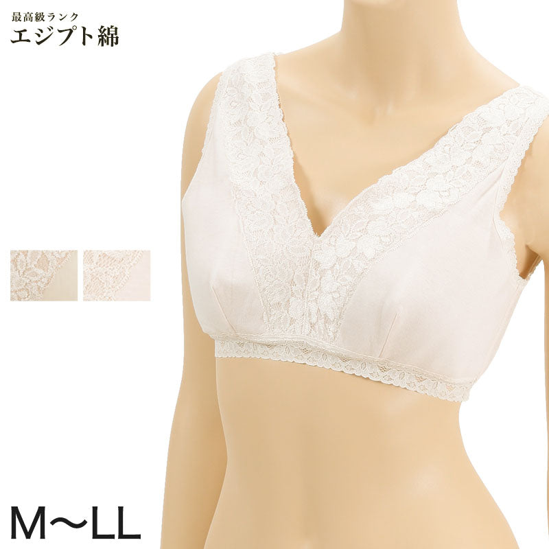 エジプト綿 広幅レースハーフトップ M~LL (ノンワイヤーブラジャー ブラジャー ブラ 綿100% 肌着 下着 レース) (婦人肌着) (取寄せ)