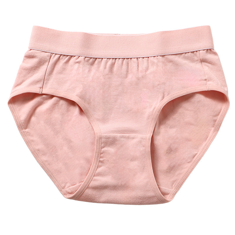 ショーツ レディース 綿 S M L LL 3L 4L 無地 パンツ コットン 大きいサイズ スタンダードショーツ シンプル ストレッチ インナー 女性 下着 婦人 肌着 パンティ 綿混