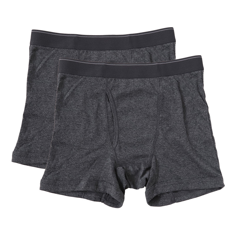 メンズ ボクサーブリーフ ボクサーパンツ 下着 3l 4l 5l 大きいサイズ 2枚組 3L~5L パンツ 紳士 前開き 男性 インナー ボクサー インナーウェアー 前あき