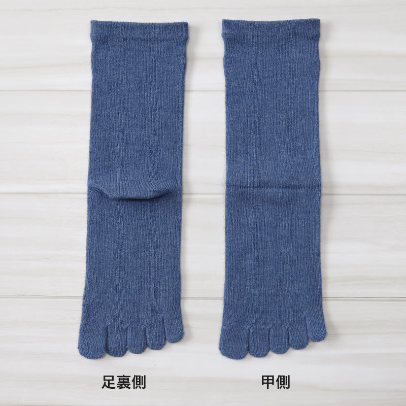 5本指ソックス メンズ 足口ゴム無し 綿混 24-28cm (男性 紳士 靴下 ソックス 五本指 ゴムなし メンズ靴下 紳士靴下 日本製 コットン) (紳士靴下) (在庫限り)