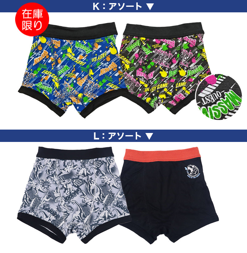 男児 ボクサーブリーフ ジュニア 男の子 下着 キッズ パンツ 2枚組 100cm~130cm ( 男子 ボクサーパンツ 小学生 幼稚園 保育園 プレゼント 100 110 120 130)
