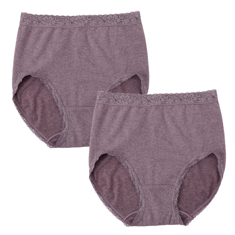 あったか 微起毛 ショーツ レディース 2枚組 吸湿発熱 M L LL あったかインナー 暖かい 下着 起毛 パンツ パンティ 寒さ対策 冷え対策 女性 インナー 婦人 肌着 防寒 ストレッチ 秋 冬 深め 深ばき まとめ買い