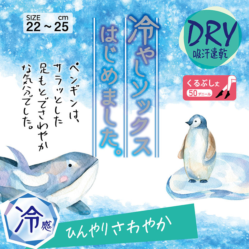 ソックス くるぶし丈 ショートソックス ショートストッキング レディース 靴下 サマーソックス アツギ 冷やしソックスはじめました DRY 冷感 22-25cm (UV対策) (在庫限り)