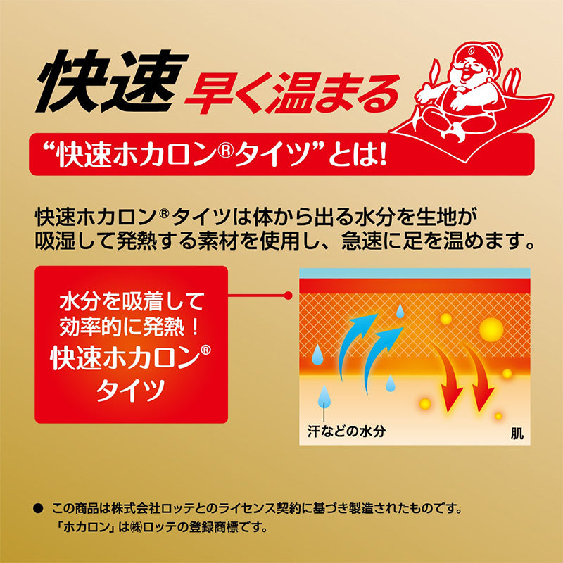 発熱タイツ レディース タイツ ホカロン つま先二重編み あたたかい あったかい 防寒 250デニール M-L L-LL 暖かい 吸湿発熱 アツギ 黒 atsugi 冬 秋 寒さ対策