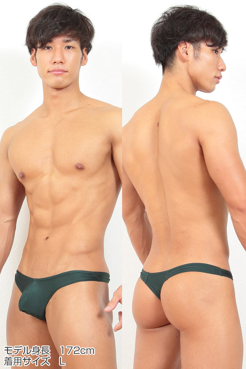 Tバック ビキニブリーフ セクシー メンズ M~3L (M L LL 3L 大きいサイズ ブリーフ 下着 男性 ビズフィット Bizfit) (在庫限り)