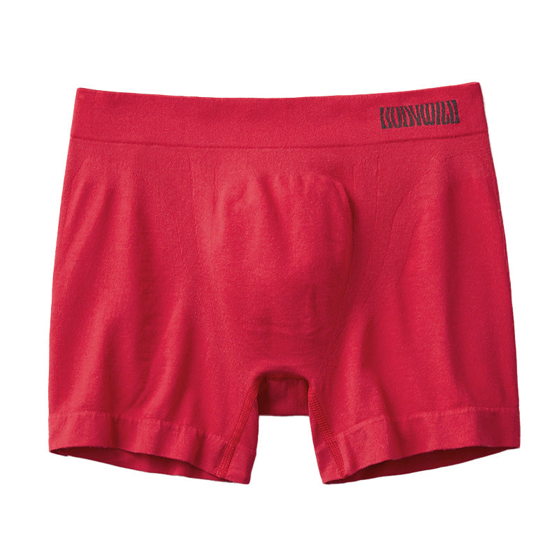 ボディワイルド ボクサーパンツ ボクサーパンツ メンズ 前閉じ M L LL BodyWild 下着 アンダーウェア インナー 男性用 シームレス 快適 フィット ストレッチ シンプル ブランド 人気 M L LL 大きいサイズ 小さいサイズ デイリー ギフト プレゼント
