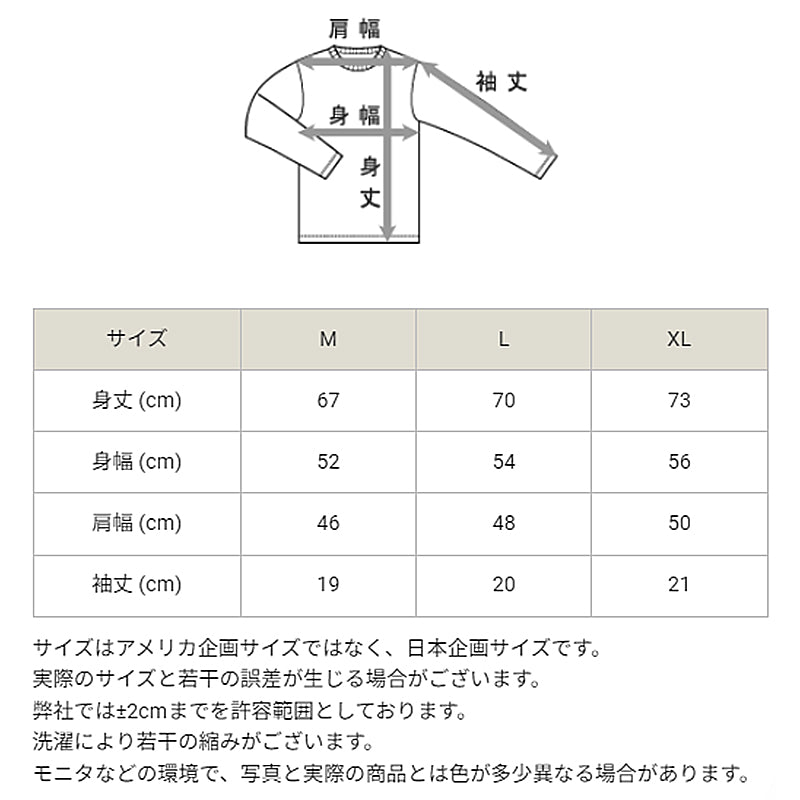 Champion Tシャツ メンズ 半袖 紳士 ウエア シャツ トップス S M L XL チャンピオン パイル生地 ロゴ シンプル ジム (在庫限り)