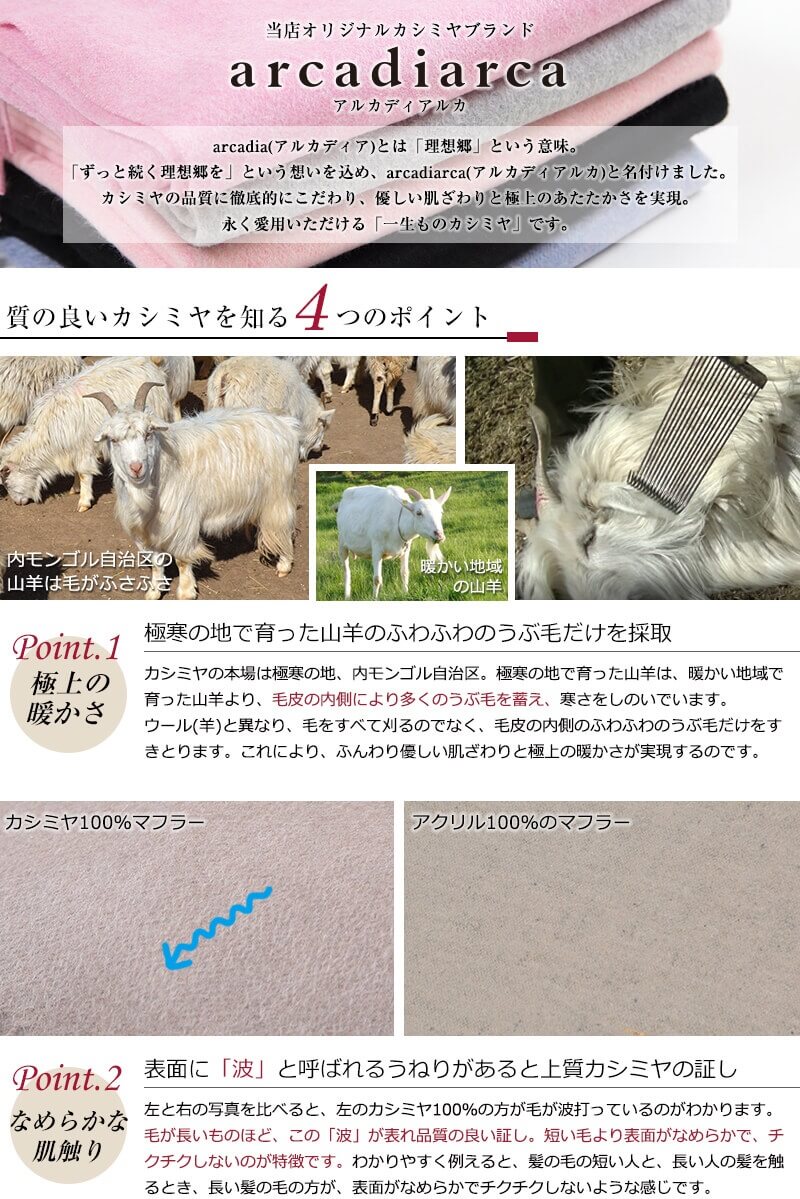カシミヤ100% ストール 無地 レディース 大判 カシミヤ カシミア フリーサイズ マフラー 大判 冬 防寒 暖かい シンプル 女性 プレゼント ギフト クリスマス (在庫限り)