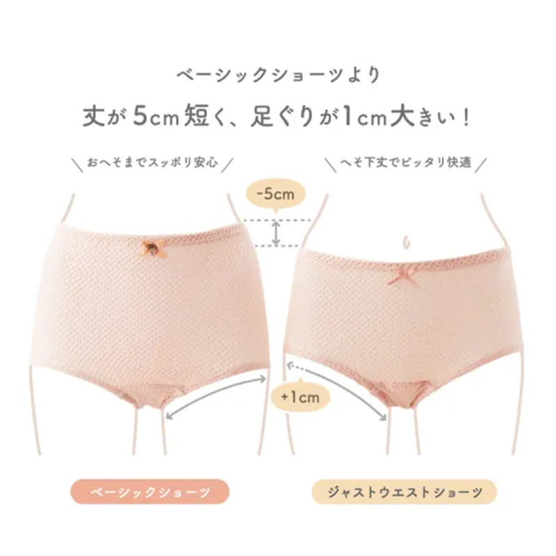 エトワール841 ジャストウエストショーツ レディース 締め付けない 綿 ショーツ パンツ M・L 伸びる しめつけない コットン 下着 肌着 インナー 女性 婦人 日本製