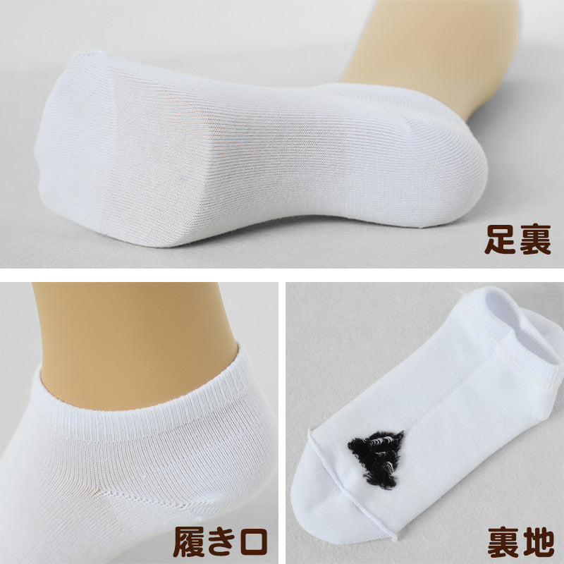 靴下 スニーカー ソックス レディース adidas 3P 23-25cm (女性 adidas 女子 くつ下 ワンポイント 丈夫 スポーツソックス 夏 春 学校 スクール 正面) (在庫限り)