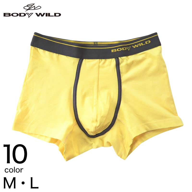グンゼ BODYWILD ボクサーパンツ ボディワイルド メンズ 男性 紳士 パンツ Color-B M・L (GUNZE カラー豊富 前とじ ボクサーブリーフ 下着 肌着 インナー インナーウェアー アンダーウェアー ブリーフ) (在庫限り)