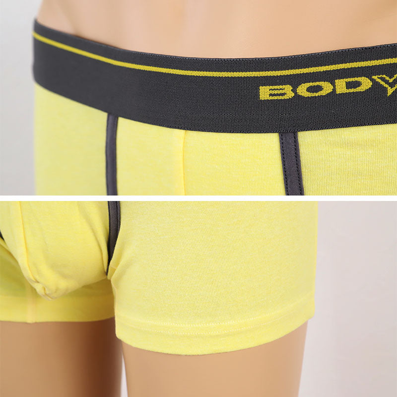 グンゼ BODYWILD ボクサーパンツ ボディワイルド メンズ 男性 紳士 パンツ Color-B M・L (GUNZE カラー豊富 前とじ ボクサーブリーフ 下着 肌着 インナー インナーウェアー アンダーウェアー ブリーフ) (在庫限り)