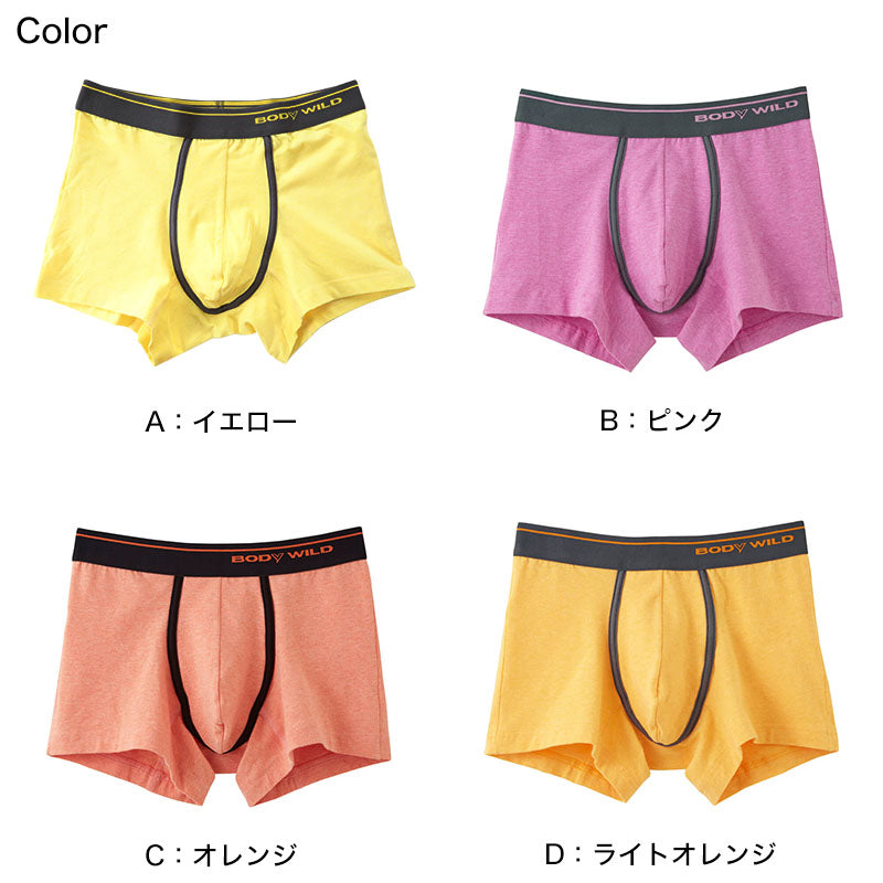 グンゼ BODYWILD ボクサーパンツ ボディワイルド メンズ 男性 紳士 パンツ Color-B M・L (GUNZE カラー豊富 前とじ ボクサーブリーフ 下着 肌着 インナー インナーウェアー アンダーウェアー ブリーフ) (在庫限り)