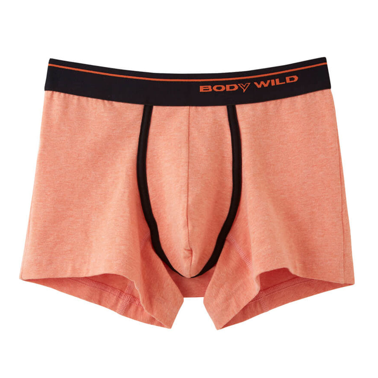 グンゼ BODYWILD ボクサーパンツ ボディワイルド メンズ 男性 紳士 パンツ Color-B M・L (GUNZE カラー豊富 前とじ ボクサーブリーフ 下着 肌着 インナー インナーウェアー アンダーウェアー ブリーフ) (在庫限り)