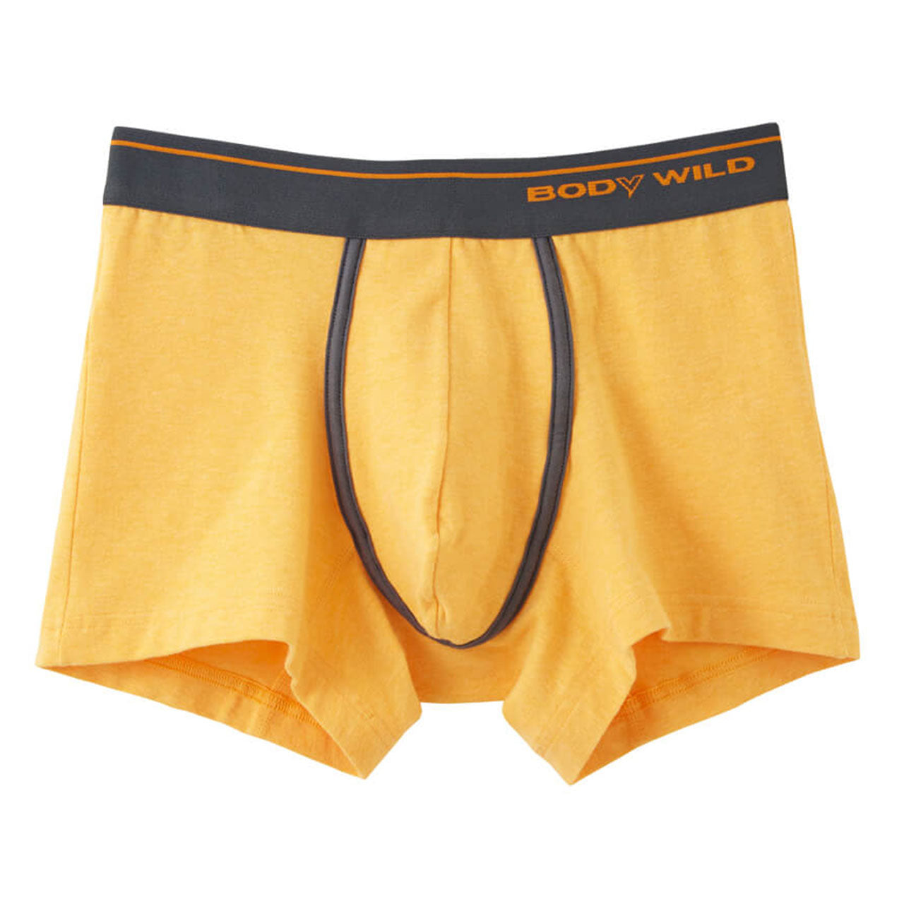 グンゼ BODYWILD ボクサーパンツ ボディワイルド メンズ 男性 紳士 パンツ Color-B M・L (GUNZE カラー豊富 前とじ ボクサーブリーフ 下着 肌着 インナー インナーウェアー アンダーウェアー ブリーフ) (在庫限り)