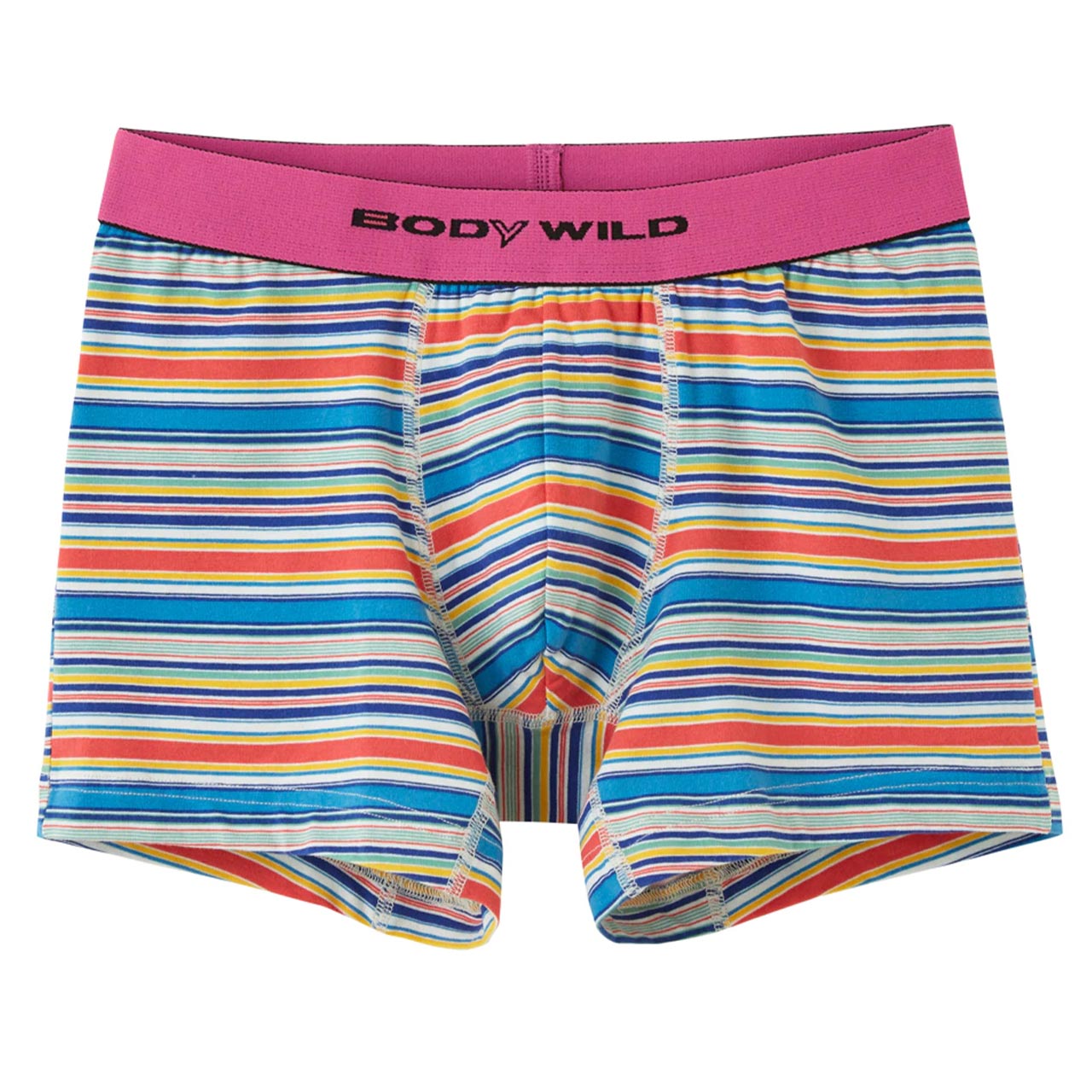 グンゼ BODYWILD ボクサーパンツ メンズ パンツ ボディワイルド 男性 M・L (GUNZE 下着 肌着 インナー インナーパンツ ボクサーブリーフ カラー豊富 前とじ やわらか 伸縮性 柄 カジュアル インナーウェアー) (在庫限り)