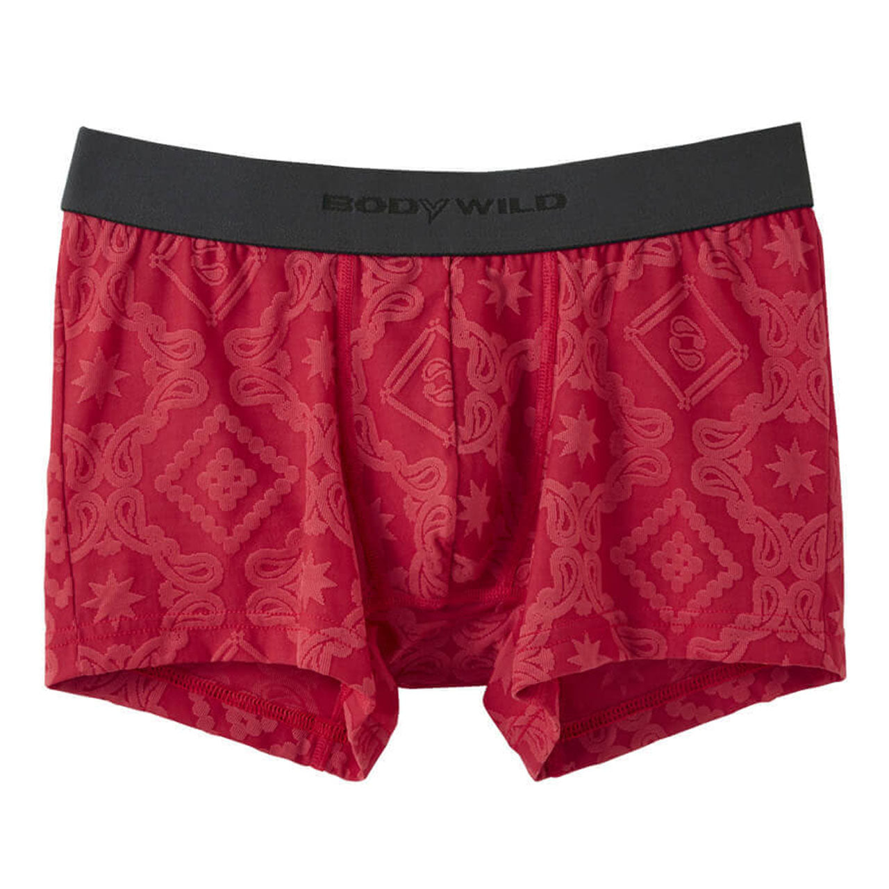 グンゼ ボディワイルド ボクサーパンツ メンズ インナー 下着 BodyWild 2枚セット M~LL (GUNZE BODYWILD 男性 メンズボクサー ボクサーブリーフ インナーウェアー カジュアル 前とじ M L LL) (在庫限り)