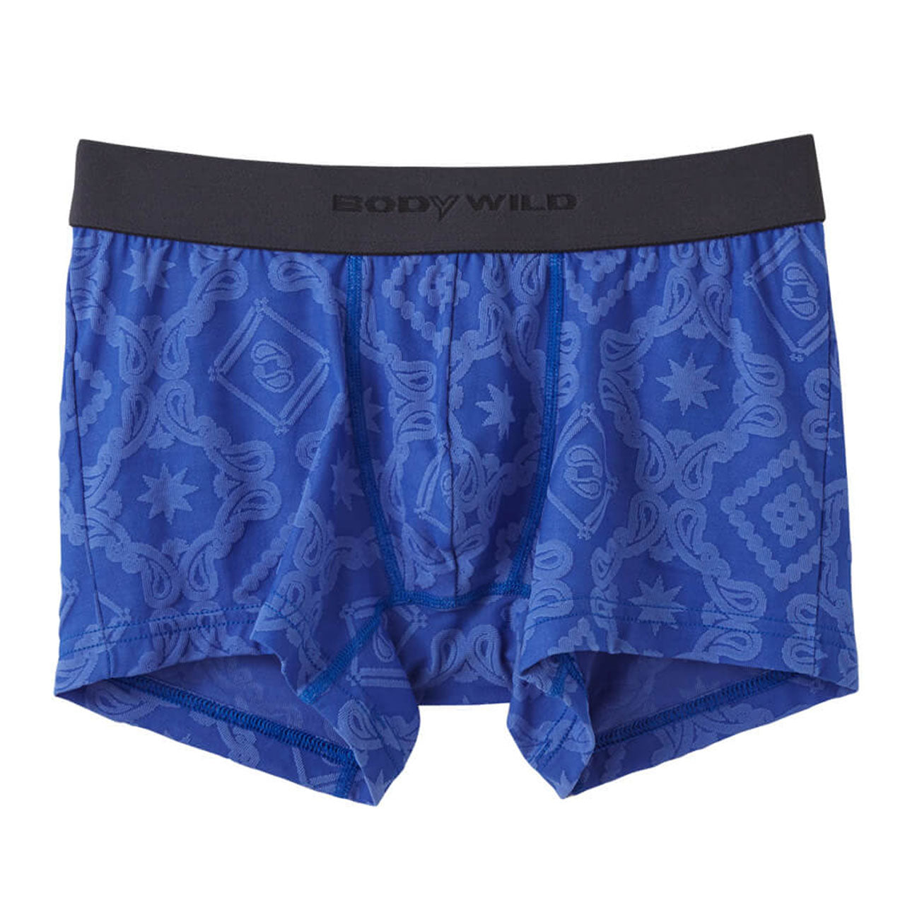 グンゼ ボディワイルド ボクサーパンツ メンズ インナー 下着 BodyWild 2枚セット M~LL (GUNZE BODYWILD 男性 メンズボクサー ボクサーブリーフ インナーウェアー カジュアル 前とじ M L LL) (在庫限り)