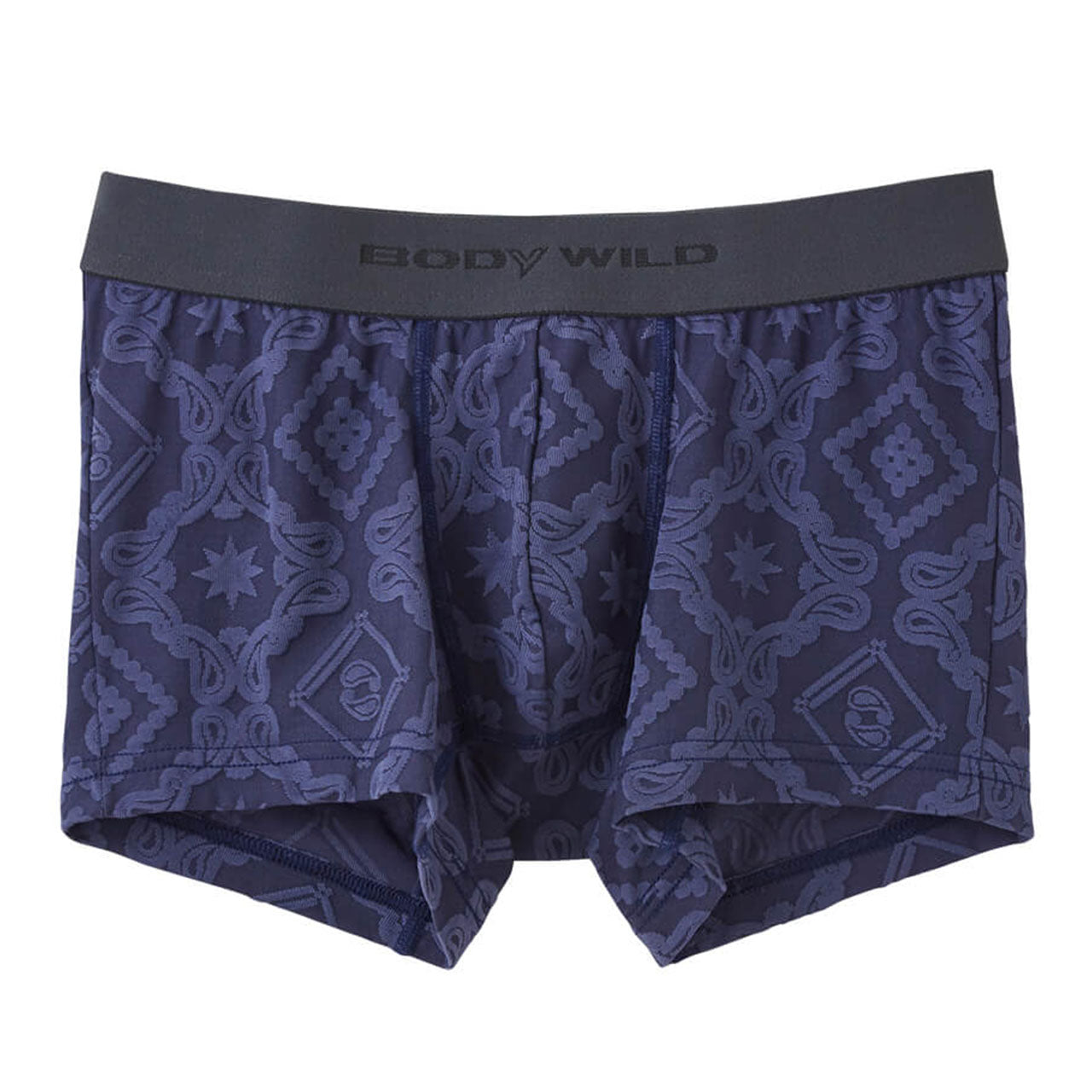 グンゼ ボディワイルド ボクサーパンツ メンズ インナー 下着 BodyWild 2枚セット M~LL (GUNZE BODYWILD 男性 メンズボクサー ボクサーブリーフ インナーウェアー カジュアル 前とじ M L LL) (在庫限り)