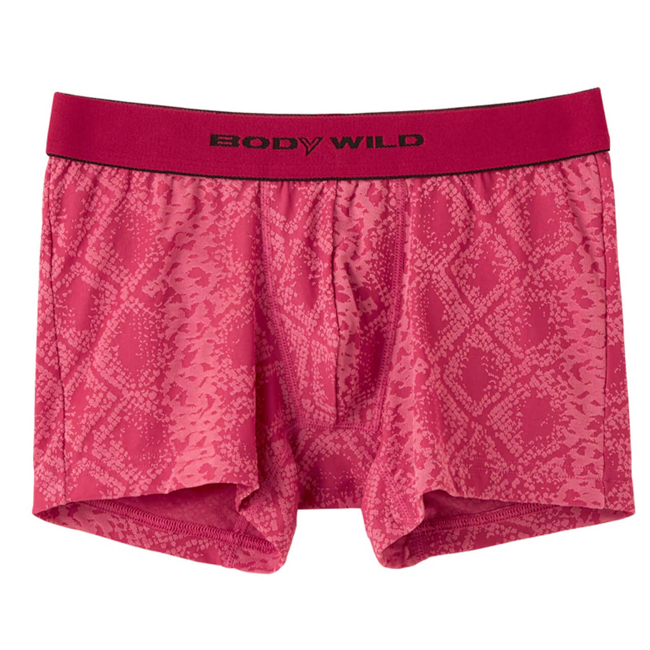 グンゼ ボディワイルド ボクサーパンツ メンズ インナー 下着 BodyWild 2枚セット M~LL (GUNZE BODYWILD 男性 メンズボクサー ボクサーブリーフ インナーウェアー カジュアル 前とじ M L LL) (在庫限り)