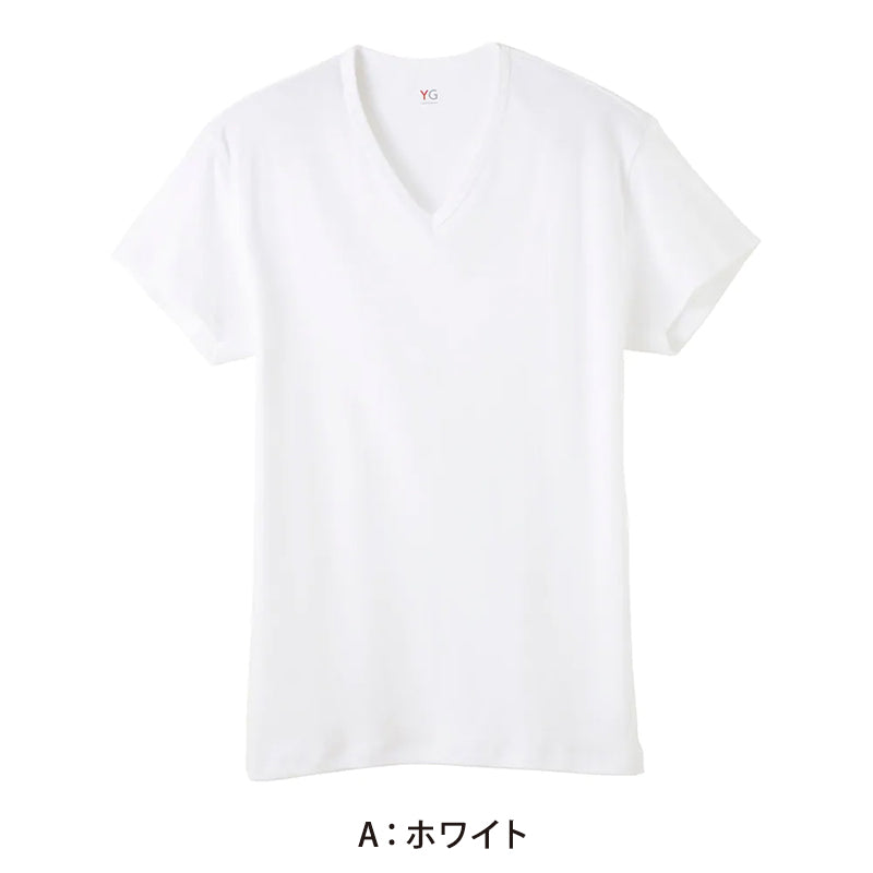 グンゼ YG tシャツ メンズ 半袖 綿100% あったか インナー Vネック M~LL 厚地 厚手 暖かい 男性 下着 肌着 コットン 綿 V首 アンダーウェア GUNZE