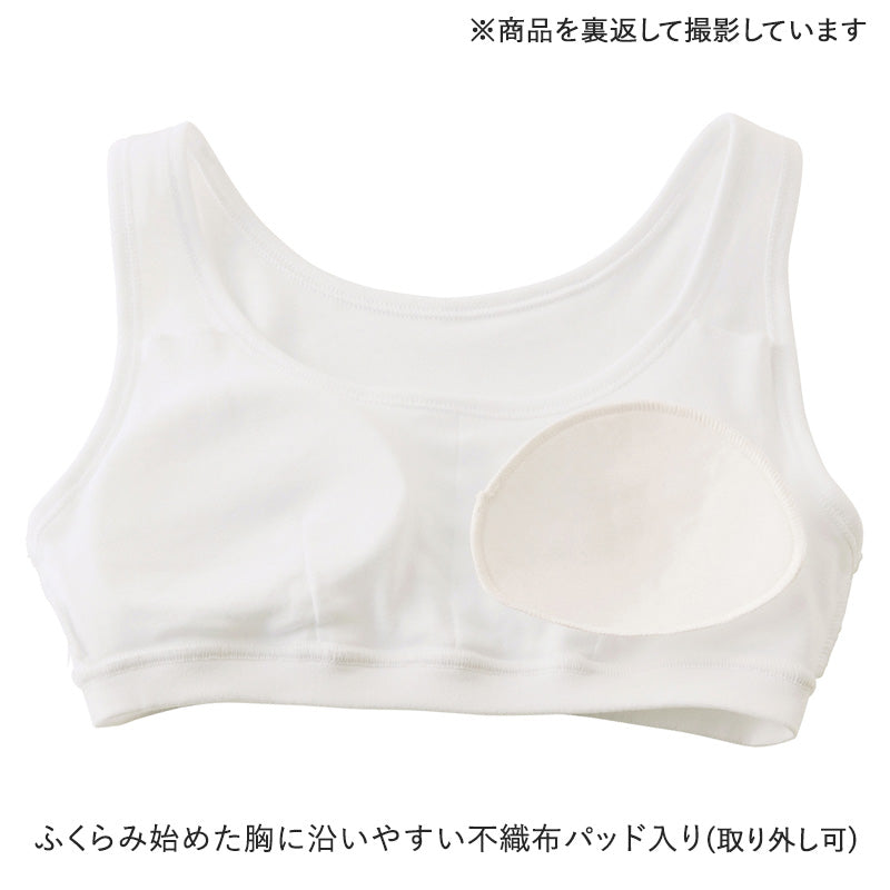 グンゼ 綿100% パット付き ハーフトップ ジュニアブラ 140~160cm 子供 下着 キッズ ジュニア インナー 女の子 白 ブラジャー スクール