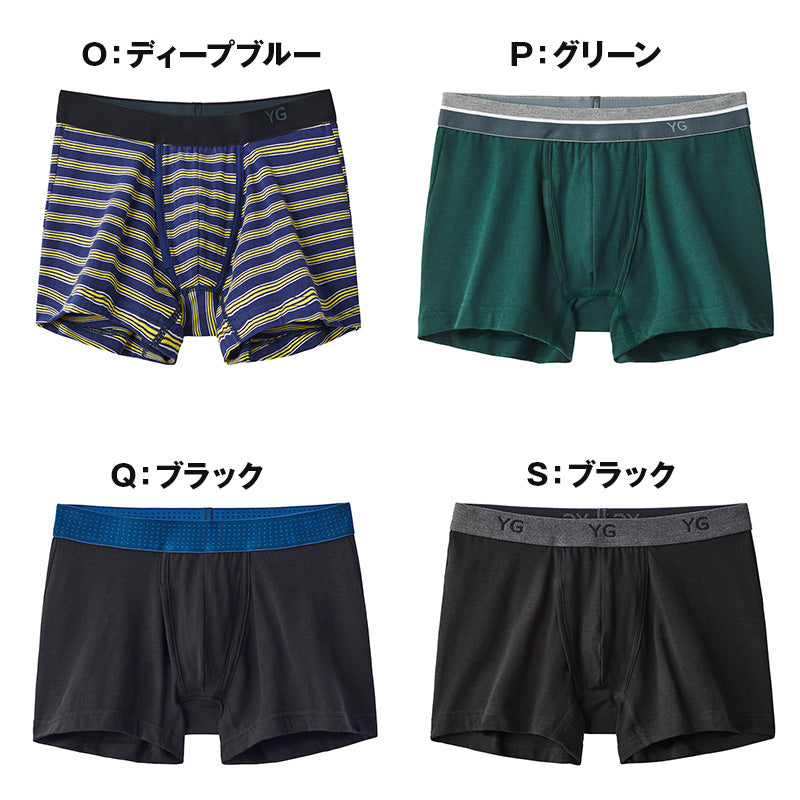 グンゼ ボクサーパンツ 綿 メンズ 前開き ボーダー 無地 杢 柄 M~LL YG ワイジー ボクサーブリーフ 綿混 コットン ボクサー 男性 下着 肌着 インナー パンツ ボトムス アンダーウェア メンズショーツ 勝負パンツ