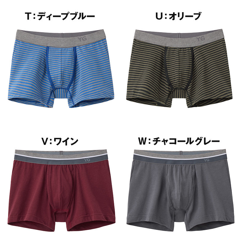 グンゼ ボクサーパンツ 綿 メンズ 前開き ボーダー 無地 杢 柄 M~LL YG ワイジー ボクサーブリーフ 綿混 コットン ボクサー 男性 下着 肌着 インナー パンツ ボトムス アンダーウェア メンズショーツ 勝負パンツ