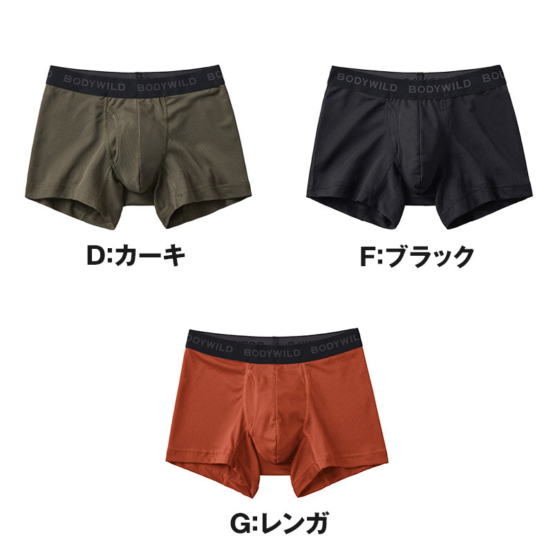 グンゼ ボディワイルド ボクサパンツー メッシュ 前あき M~LL bodywild ボクサーブリーフ 下着 インナー 男性 夏 吸汗速乾 シンプル 通気性 ムレ防止 速乾 ドライ 汗吸収 プレゼント ギフト 父の日 (在庫限り)