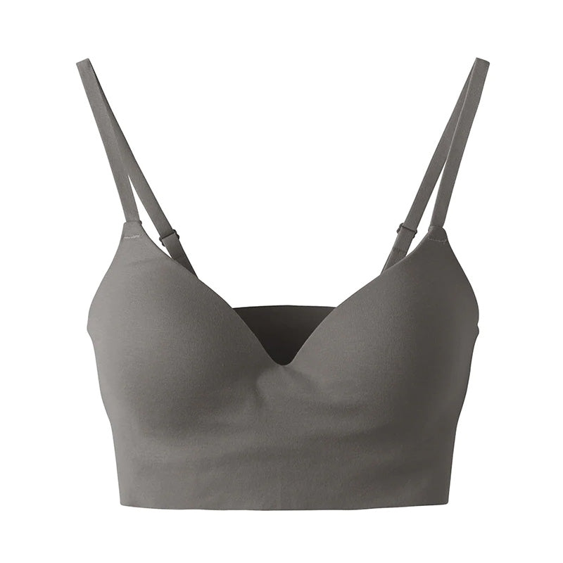 グンゼ ノンワイヤーブラ ブラジャー レディース M~LL (キレイラボ Fitte おしゃれ オーガニックコットン インナー 下着 女性 締め付けない カラー)