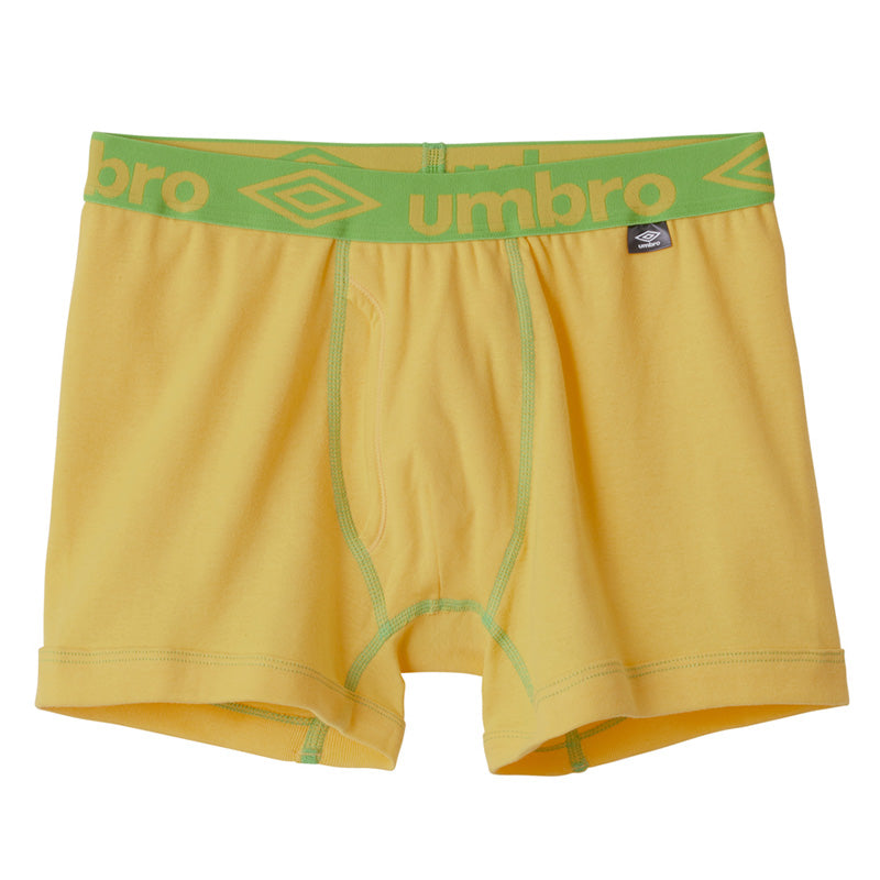 アンブロ ボクサーブリーフ メンズ グンゼ M L 下着 パンツ 綿100 umbro 吸汗速乾 インナー 男性用 アンダーウェア ボクサーパンツ ブランド スポーツ トレーニング 快適 フィット ジム ランニング シンプル (在庫限り)