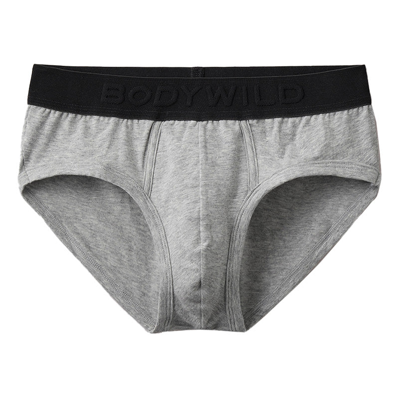 ボディワイルド セミビキニブリーフ グンゼ M・L GUNZE BODYWILD bodywild パンツ 肌着 インナー もっこり ビキニブリーフ スポーツ (在庫限り)