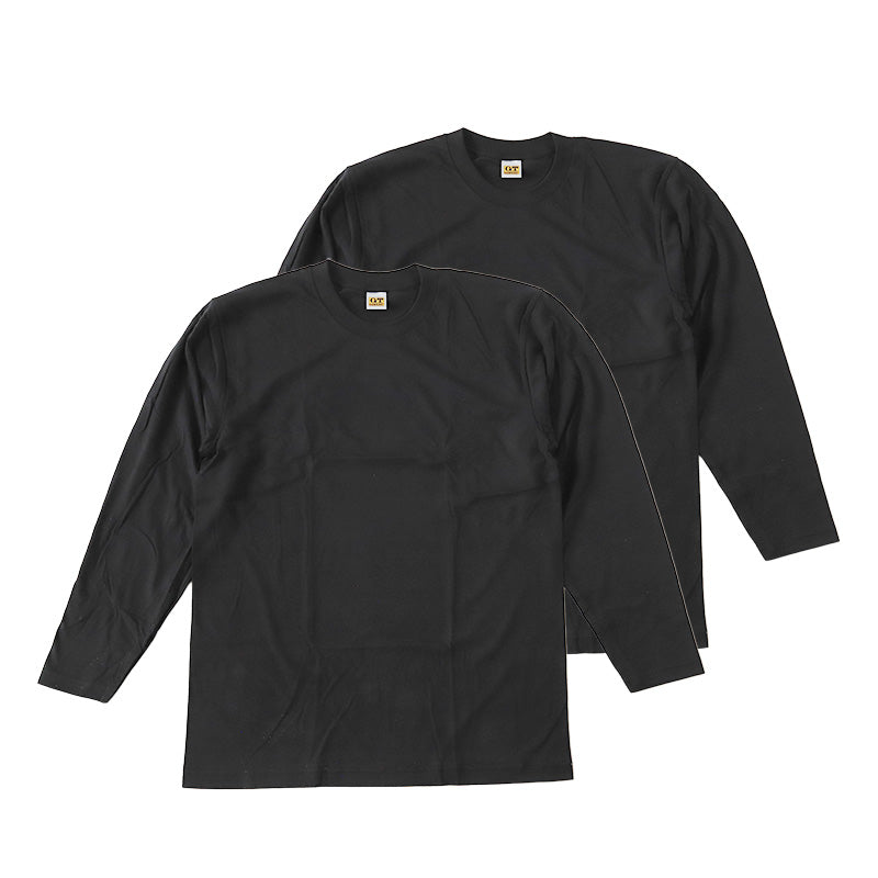 グンゼ GTホーキンス メンズ 長袖 tシャツ 2枚組 M~LL 綿100% GUNZE gt ホーキンス クルーネック ロングスリーブ シャツ インナー コットン ロゴ 肌着 下着 シンプル トップス M L LL