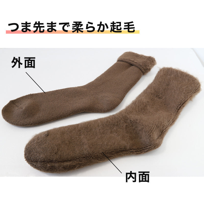 ウチコレ 裏起毛 ソックス メンズ グンゼ 25-27cm 靴下 ルームソックス クルーソックス 防寒 冷え対策 もこもこ ふわふわ あったか あたたか 暖か 暖かい 室内 プレゼント ギフト クリスマス (在庫限り)