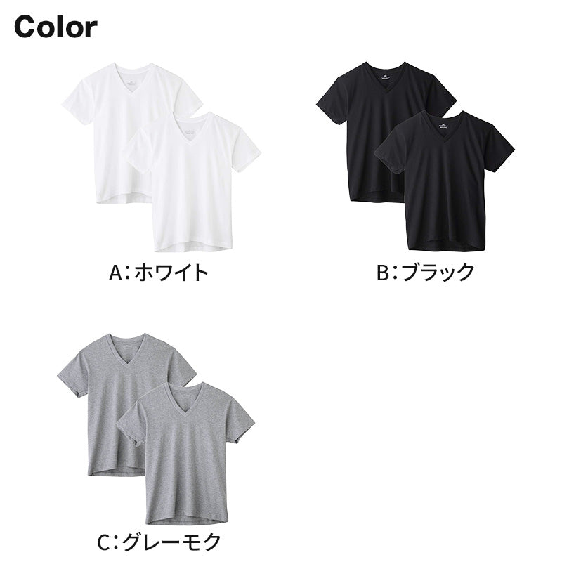 グンゼ vネック tシャツ ボディワイルド 綿100 2枚組 M L LL v首 肌着 下着 無地 インナー 2枚セット gunze bodywild 白 黒 灰 プレゼント ギフト