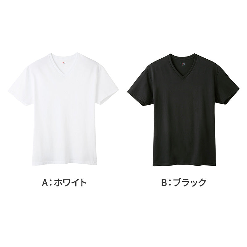 グンゼ YG tシャツ メンズ 半袖 vネック 吸水 ドライ 抗菌 防臭 M L LL v首 GUNZE インナーシャツ 男性 紳士 下着 肌着 インナー ニオイ対策 夏 スーツ下 ビジネス ビジネスインナー オールシーズン 白 黒
