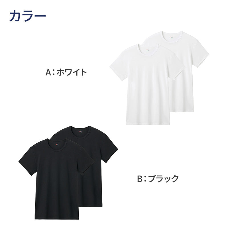 グンゼ YG 綿100 tシャツ メンズ 半袖 クルーネック 抗菌 防臭 2枚組 M L LL 丸首 GUNZE インナーシャツ 男性 紳士 下着 肌着 インナー ニオイ対策 夏 スーツ下 ビジネス ビジネスインナー オールシーズン