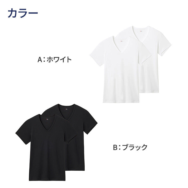 グンゼ YG 綿100 tシャツ メンズ 半袖 Vネック 抗菌 防臭 2枚組 M L LL v首 GUNZE インナーシャツ 男性 紳士 下着 肌着 インナー ニオイ対策 夏 スーツ下 ビジネス ビジネスインナー オールシーズン