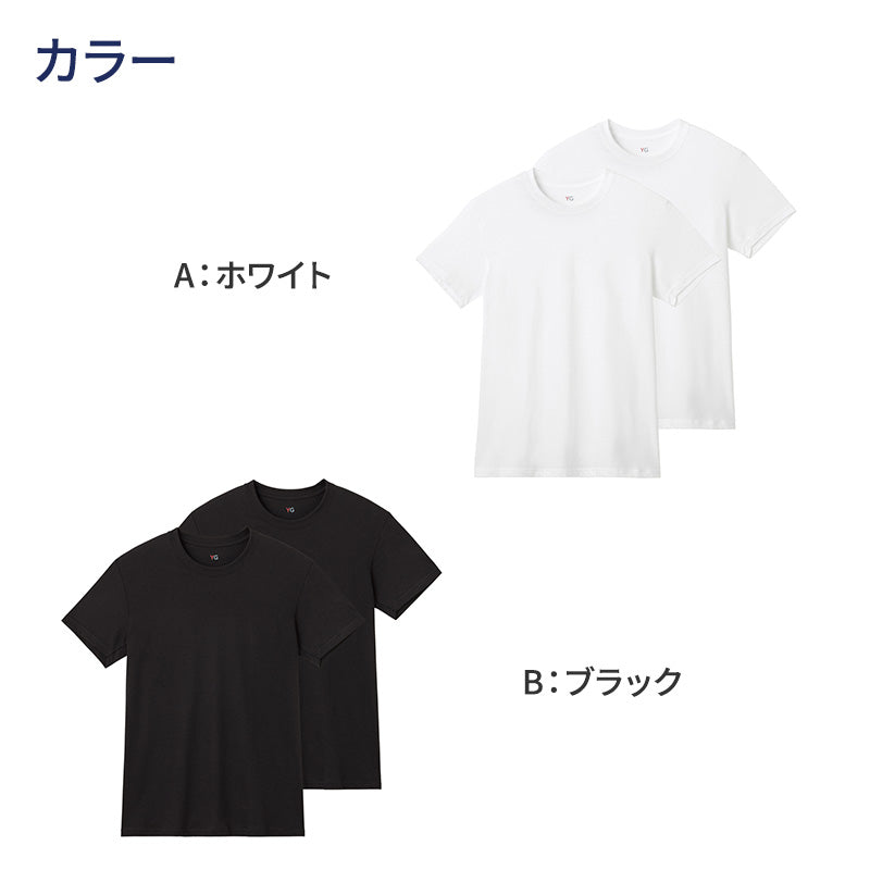 グンゼ YG tシャツ メンズ 半袖 クルーネック 抗菌 防臭 2枚組 M L LL 丸首 GUNZE インナーシャツ 男性 紳士 下着 肌着 インナー ニオイ対策 夏 スーツ下 ビジネス ビジネスインナー オールシーズン