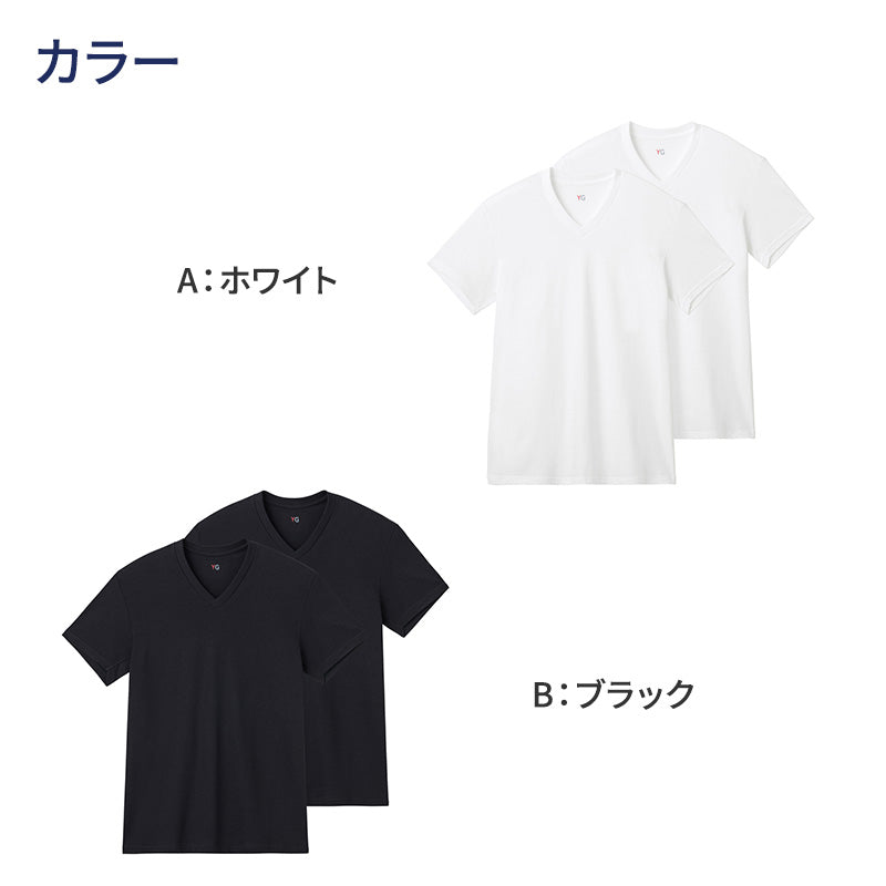 グンゼ YG 綿100 tシャツ メンズ 半袖 Vネック 抗菌 防臭 2枚組 M L LL v首 GUNZE インナーシャツ 男性 紳士 下着 肌着 インナー ニオイ対策 夏 スーツ下 ビジネス ビジネスインナー オールシーズン