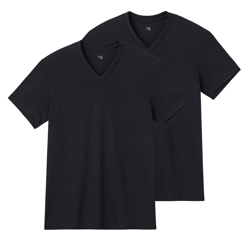 グンゼ YG 綿100 tシャツ メンズ 半袖 Vネック 抗菌 防臭 2枚組 M L LL v首 GUNZE インナーシャツ 男性 紳士 下着 肌着 インナー ニオイ対策 夏 スーツ下 ビジネス ビジネスインナー オールシーズン