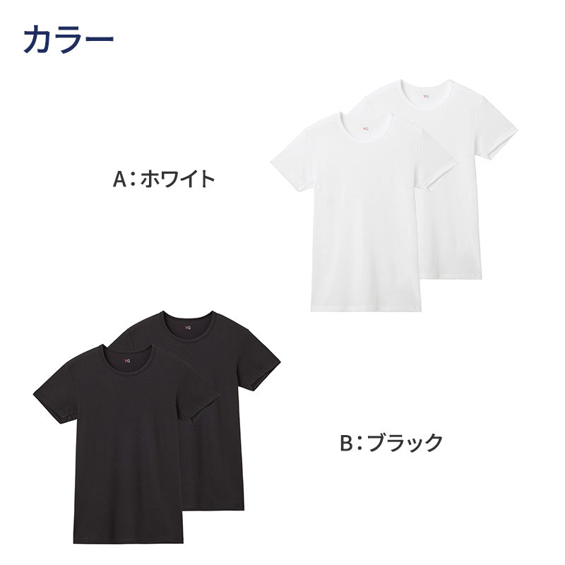 グンゼ YG tシャツ メンズ 半袖 クルーネック 鹿の子 抗菌 防臭 2枚組 M L LL 吸汗速乾 丸首 GUNZE インナーシャツ 男性 紳士 下着 肌着 インナー ニオイ対策 夏 スーツ下 ビジネス ビジネスインナー オールシーズン