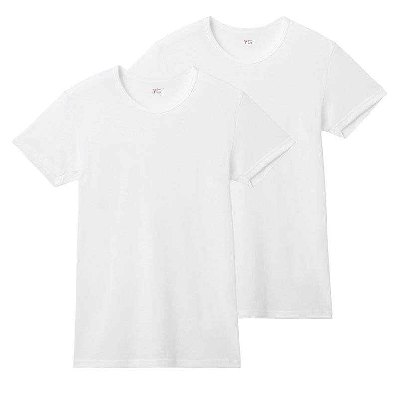 グンゼ YG tシャツ メンズ 半袖 クルーネック 鹿の子 抗菌 防臭 2枚組 M L LL 吸汗速乾 丸首 GUNZE インナーシャツ 男性 紳士 下着 肌着 インナー ニオイ対策 夏 スーツ下 ビジネス ビジネスインナー オールシーズン